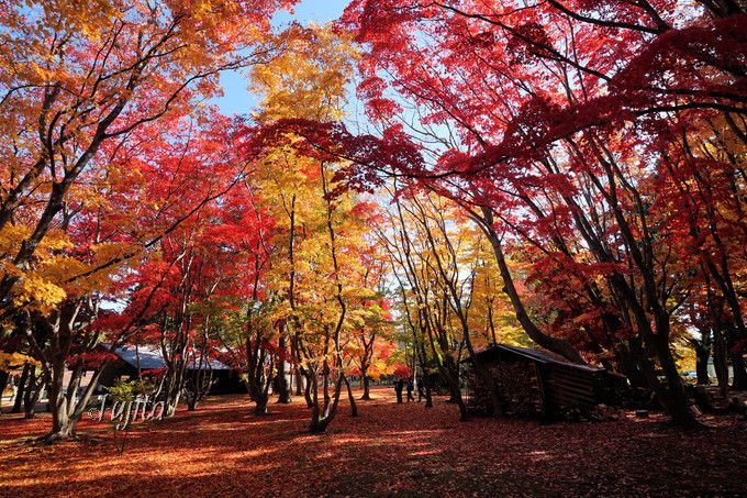 北海道で紅葉狩り 見頃時期が遅いおすすめ紅葉名所ベスト５ 北海道 トラベルjp 旅行ガイド