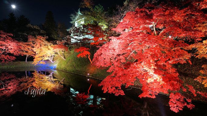 紅葉のライトアップスポットおすすめ10選 秋の夜の風物詩 21 トラベルjp 旅行ガイド