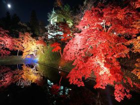 弘前公園の紅葉ライトアップが凄い！青森・弘前城で紅葉狩り