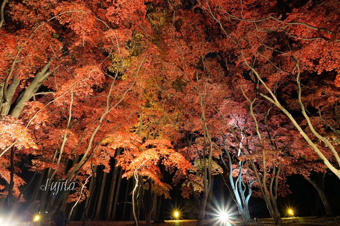 香雪園の紅葉ライトアップが絶景 北海道 函館で紅葉狩り 北海道 トラベルjp 旅行ガイド