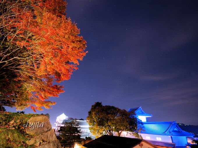 兼六園の紅葉ライトアップは入園無料 金沢城公園も同時開催 石川県 トラベルjp 旅行ガイド