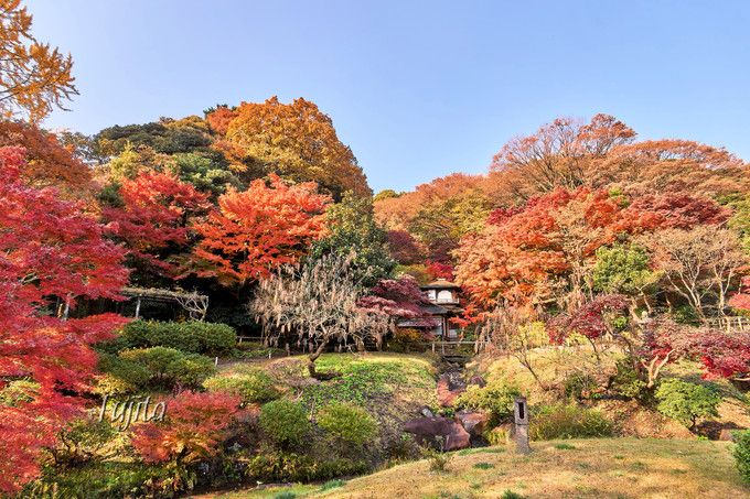 三溪園の紅葉は伝統建築とコラボ 横浜で京都気分の紅葉狩り 神奈川県 トラベルjp 旅行ガイド