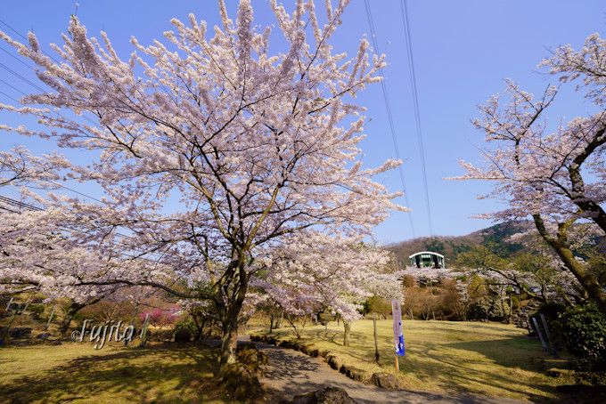 ʕ{[vEFCō̉ԌƋ󒆎UI