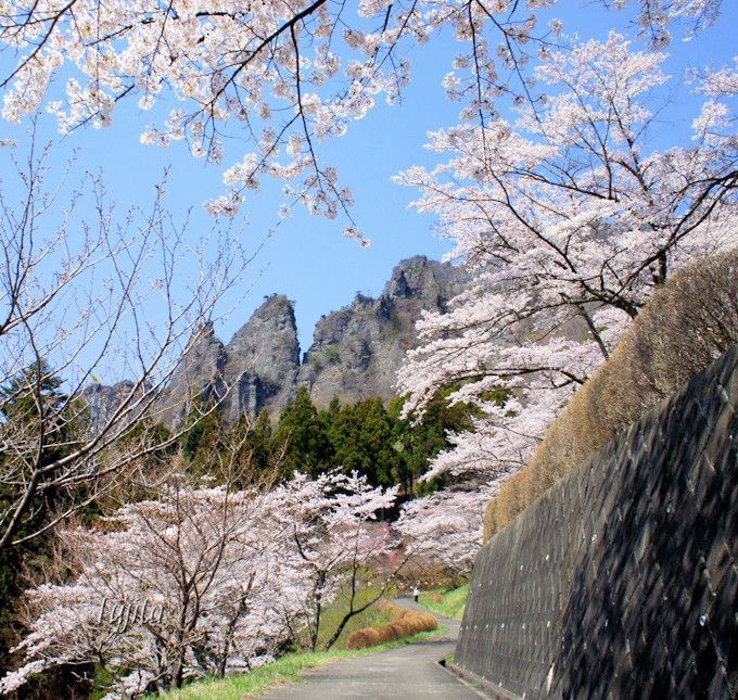 妙義山と桜がコラボ 群馬 さくらの里は見頃が遅い花見名所 群馬県 Lineトラベルjp 旅行ガイド