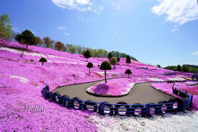 東藻琴芝桜公園の絶景５選 北海道 大空町の芝桜名所は必見 北海道 トラベルjp 旅行ガイド