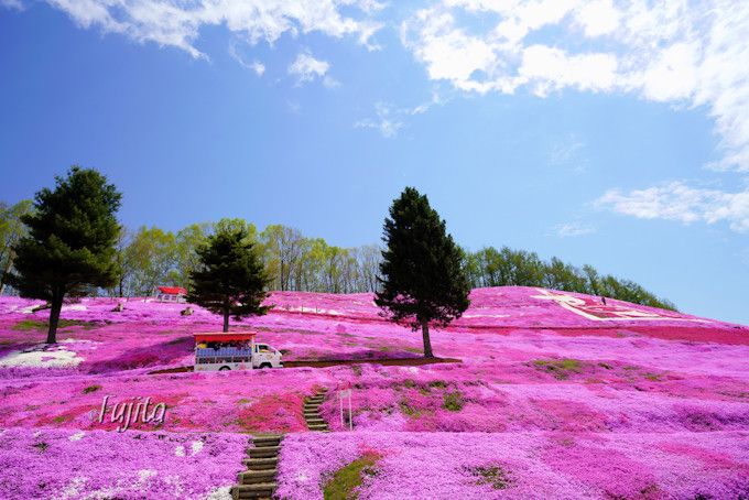 東藻琴芝桜公園の絶景５選 北海道 大空町の芝桜名所は必見 北海道 トラベルjp 旅行ガイド