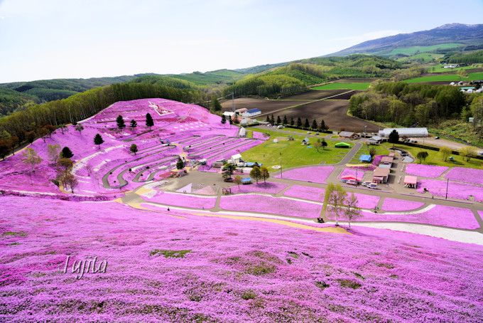 東藻琴芝桜公園の絶景５選 北海道 大空町の芝桜名所は必見 北海道 トラベルjp 旅行ガイド