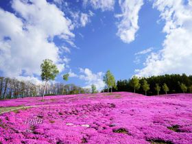 kĈߍX|bg10I k̏tՂy2025z̋LTlC