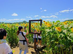 �Ȗ؁E�v�q�̂Ђ܂��͓E�ݎ��܂Ŗ����I�f����H�v�ő喞���̋L���T���l�C��