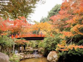 宮島の紅葉は紅葉谷公園がおすすめ！広島の世界遺産で紅葉狩り