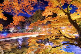 �����k�̍g�t�̓��C�g�A�b�v���K���I���m�E���C���w�̍g�t��薼���̋L���T���l�C��