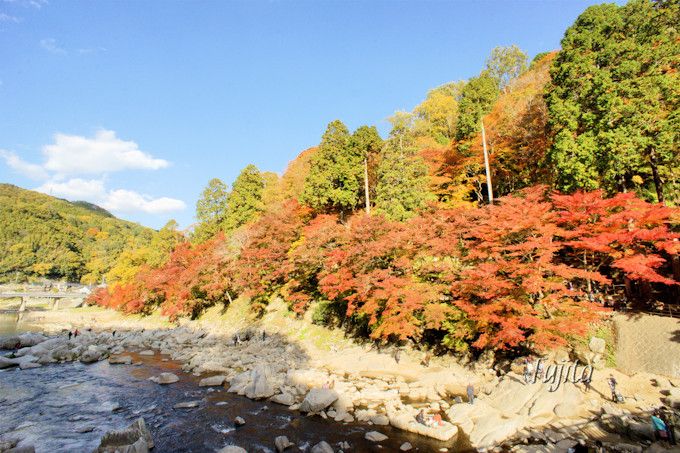 香嵐渓の紅葉を巴橋から一望！