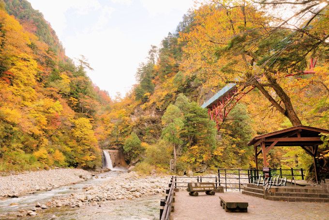 黒部峡谷鉄道欅平駅の紅葉が美しい！