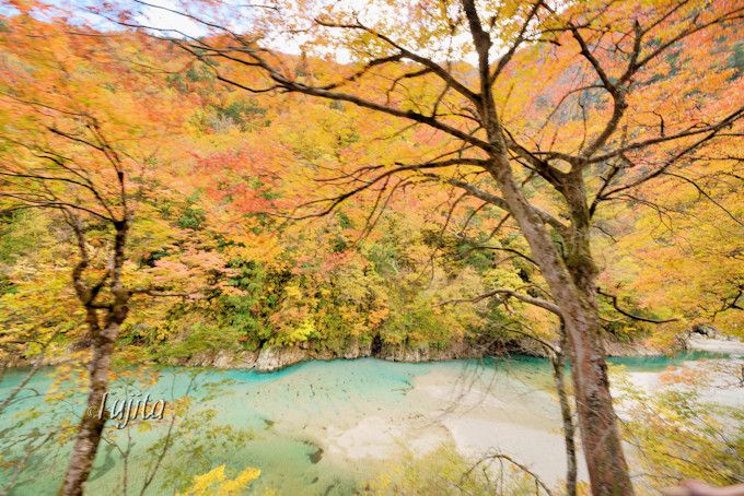 黒部峡谷の紅葉を一望 富山 黒部峡谷トロッコ電車で紅葉狩り 富山県 トラベルjp 旅行ガイド
