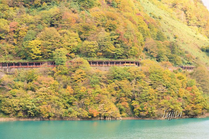黒部峡谷の紅葉を一望 富山 黒部峡谷トロッコ電車で紅葉狩り 富山県 Lineトラベルjp 旅行ガイド