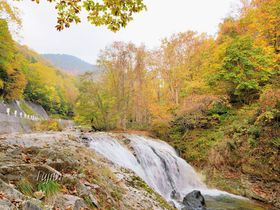 �Q�n�E�Ɨt���̍g�t�́A�܂��Ɋ֓��̉������I�����������g�t��薼���̋L���T���l�C��