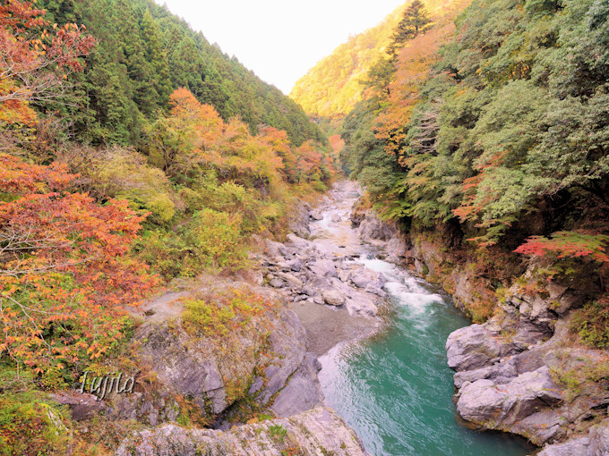 東京 奥多摩の紅葉５選 紅葉狩りにおすすめの渓谷と奥多摩湖 東京都 トラベルjp 旅行ガイド