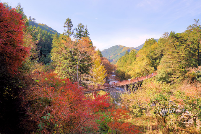 �u�H��k�J�v�ōg�t�Ɖ���𖞋i�I�����̓��͏h�����\