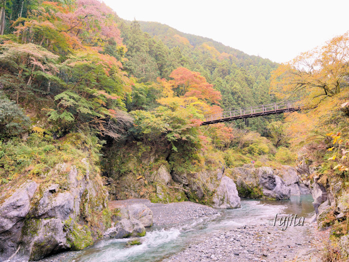 東京 奥多摩の紅葉５選 紅葉狩りにおすすめの渓谷と奥多摩湖 東京都 Lineトラベルjp 旅行ガイド