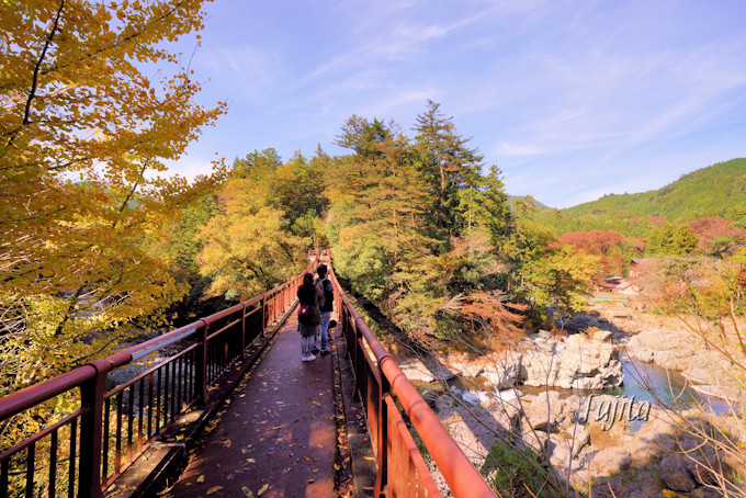 �u�H��k�J�v�ōg�t�Ɖ���𖞋i�I�����̓��͏h�����\