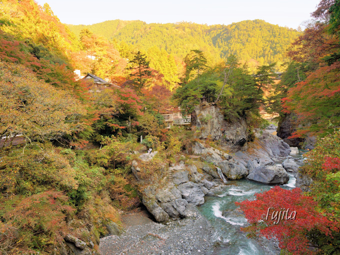 東京 奥多摩の紅葉５選 紅葉狩りにおすすめの渓谷と奥多摩湖 東京都 Lineトラベルjp 旅行ガイド