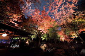 Z`̍gt̓CgAbvI\̍gt薼̋LTlC