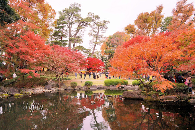 東京 大田黒公園の紅葉はインスタ映え確実 ライトアップも必見 東京都 トラベルjp 旅行ガイド