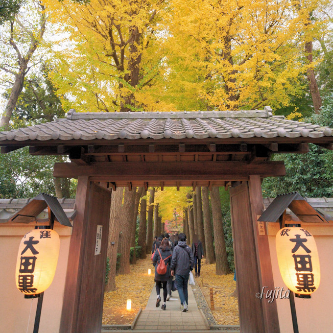 東京 大田黒公園の紅葉はインスタ映え確実 ライトアップも必見 東京都 トラベルjp 旅行ガイド