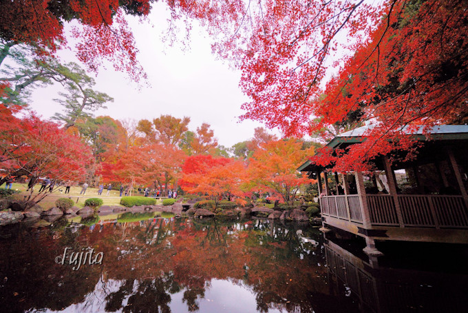 東京 大田黒公園の紅葉はインスタ映え確実 ライトアップも必見 東京都 Lineトラベルjp 旅行ガイド