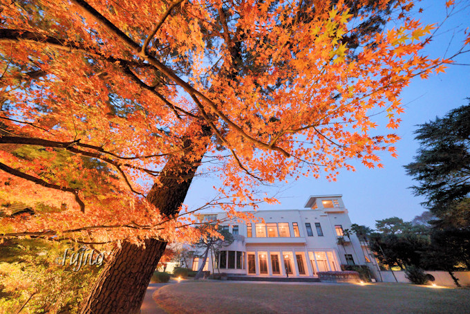 東京都庭園美術館は紅葉の穴場！