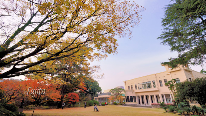 東京都庭園美術館の紅葉ライトアップは必見 都内の穴場で紅葉狩り 東京都 トラベルjp 旅行ガイド