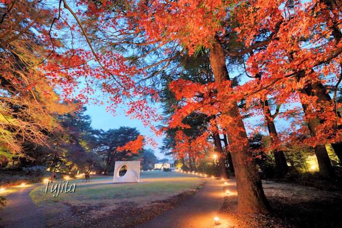 東京都庭園美術館の紅葉ライトアップは必見 都内の穴場で紅葉狩り 東京都 トラベルjp 旅行ガイド