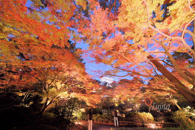 東京都庭園美術館の紅葉ライトアップは必見！都内の穴場で紅葉狩り