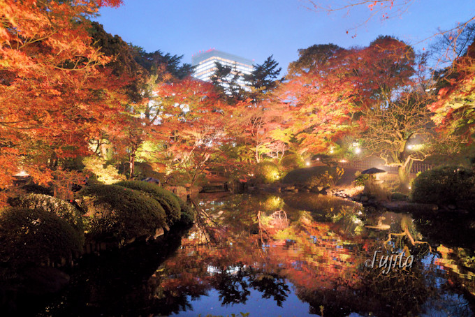 日本庭園の紅葉ライトアップ！