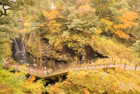 䋬̍gt͋{\閼IV~Ղ̒nōgt̋LTlC