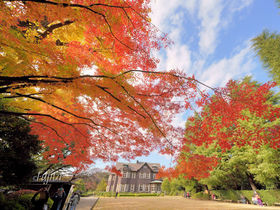 EÉ͒뉀̍gt͗mقƃR{I{뉀ōgt̋LTlC