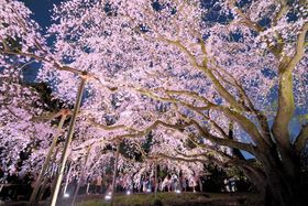 Z`̍̓CgAbvKI\uv̋LTlC