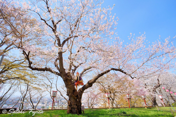 �G�X�q�R�����̍��́A�ԓ�����̗��R��