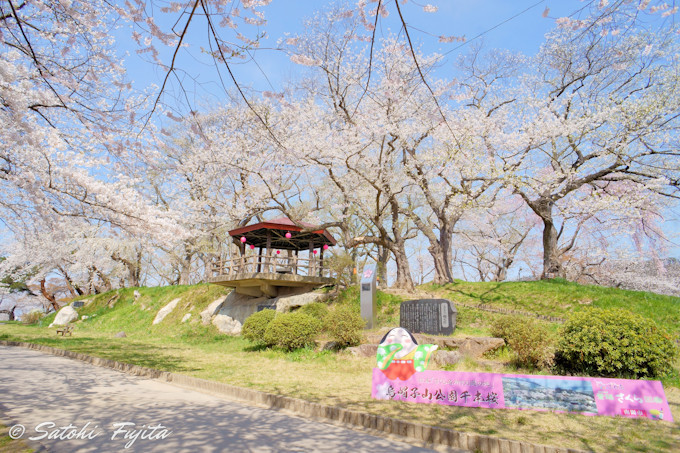 �������猩���{�����f���炵���I