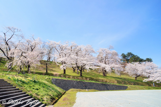 ���{�����疼��100�I������ԓ�����X�I