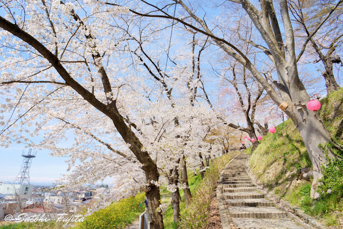 �⓹�ƍ����Ǝ��̕���I