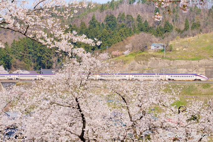 �R�`�V�����ƍ����R���{�I