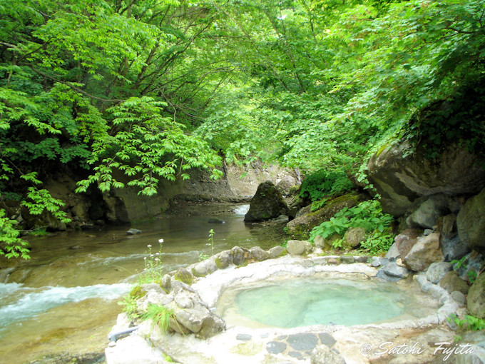 �铒�̎l�G�������I�S�g�Ƃ��ɐ[�����₳���I�V���C