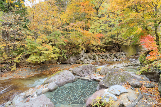 �铒�̎l�G�������I�S�g�Ƃ��ɐ[�����₳���I�V���C