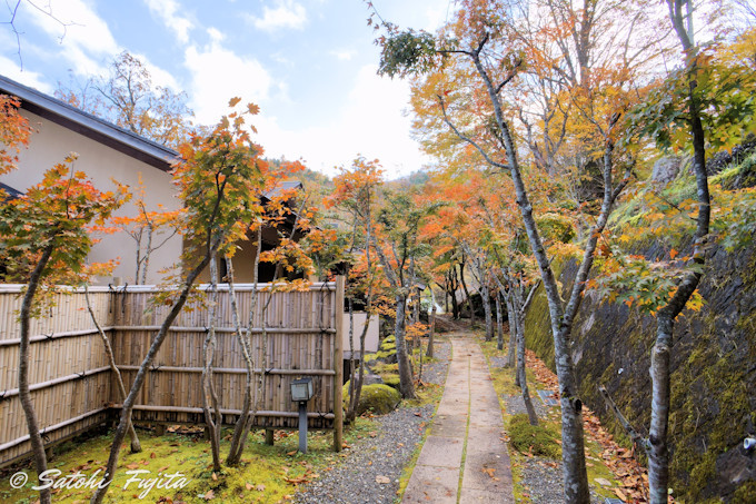 ��򉷐�u��ۂ����Ȃ둑�v�ŁA�铒�{���̖��͂𖡂키�I