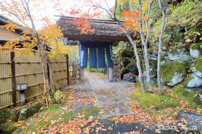 ��򉷐�u��ۂ����Ȃ둑�v�ŁA�铒�{���̖��͂𖡂키�I