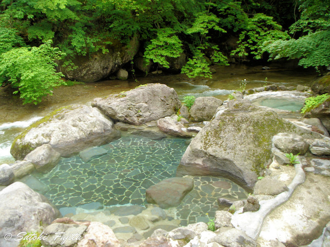 �铒�̎l�G�������I�S�g�Ƃ��ɐ[�����₳���I�V���C