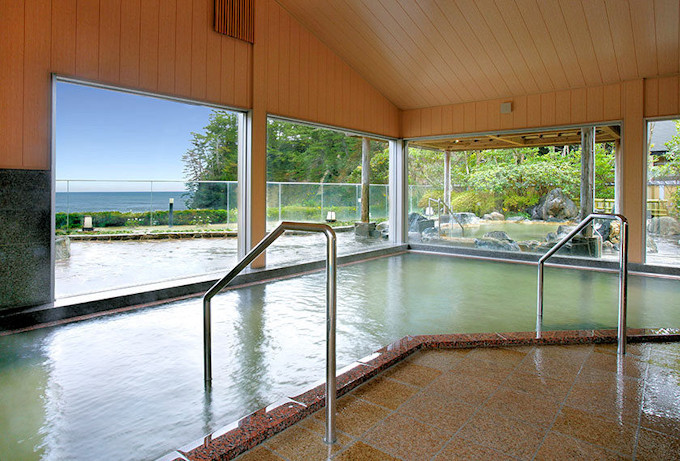 ��錧�ł͋M�d�I���򂩂������̓V�R����