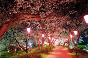 ͖CgAbviIʌKs̉Ԍ̋LTlC