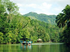 フィリピン・ボホール島へ　ロボック川クルーズで大自然を満喫！